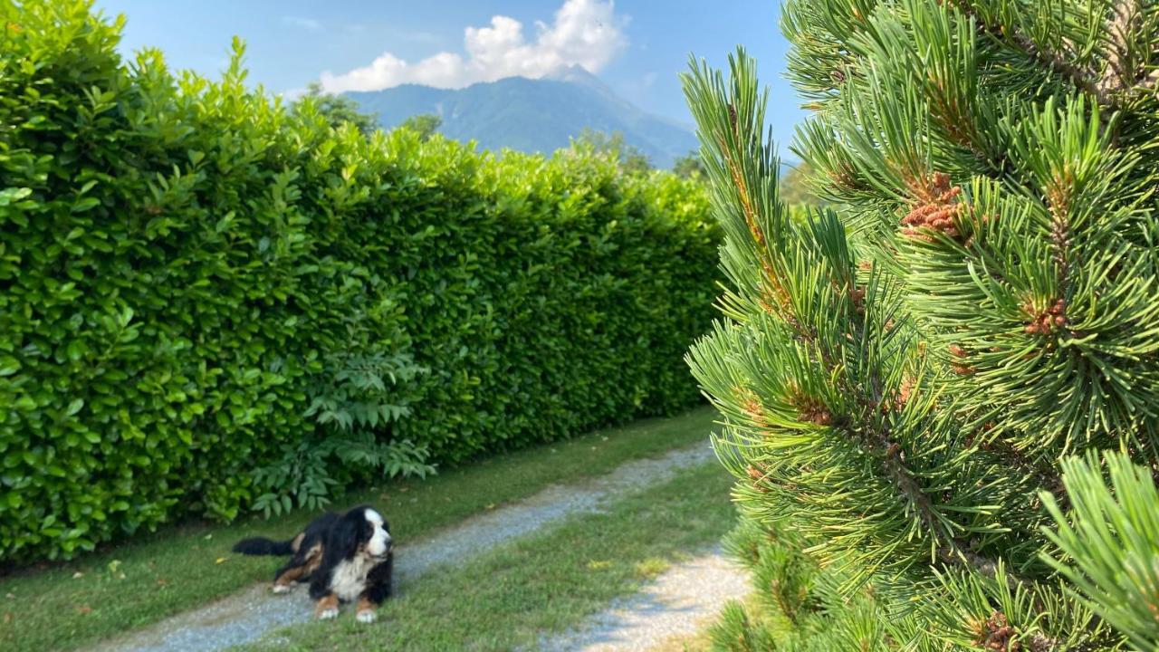 Villa Giulia - Bisalta Peveragno Eksteriør billede